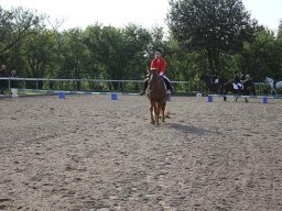 img-2864-067-879